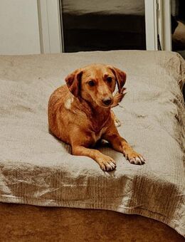 Sanfte Ophelia - Nürtingen