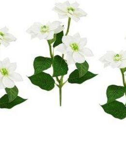Kunstblume Poinsettie, I.GE.A., Höhe 28 cm, Künstlicher Poinsettiazweig, 5er Set
