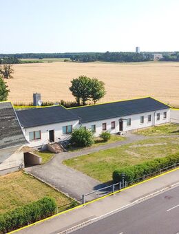 Zwei-Familienhaus / Mehrfamilienhaus in idyllischer Lage mit Fernblick + 2. Haus im Dornröschenschlaf - Jessen (Elster)