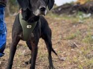 Eshley auf der Suche nach ihrem Glück - Berlin