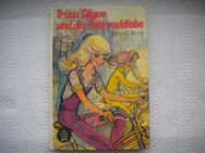 Trixis Clique und die Fahrraddiebe,Hiltraud Olbrich,Engelbert Verlag,1974 - Linnich