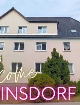 ++ frisch renovierte 2-Raum-Wohnung - mit Tageslichtbad & Gartenoption in Reinsdorf ++ - Reinsdorf (Sachsen)