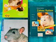 Fachbücher Ratten 3 Stück - Dorfen