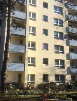 Nette Nachbarn gesucht: ansprechende 3-Zimmer-Wohnung mit Terasse! - Frankfurt (Main)