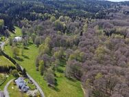 Kleine Wald- und Wiesenflächen - Bad Brambach