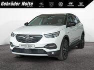 Opel Grandland, Plug-in Hybrid4 Ultimate, Jahr 2020 - Iserlohn
