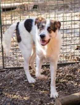 MARLON - so groß so fröhlich bin ich - Overath