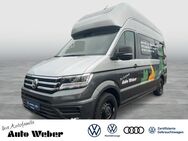 VW California, 2.0 TDI Grand California 600 1 Sonderzinssatz Automatik 3640 El, Jahr 2024 - Ahlen