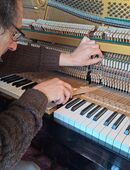 KLAVIERSTIMMER in 27793