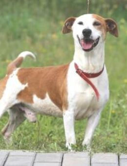 Sky sucht humorvolle aktive Menschen - Untergruppenbach