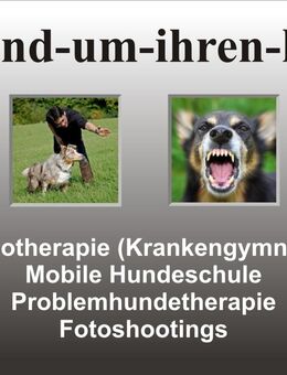 Mobile Hundeschule, Problemhunde, Hundephydiotherapie, Fotoshootings - Lippstadt