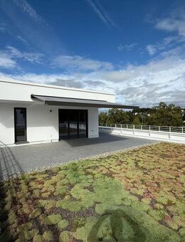 3-Zi-Penthouse mit XXL Dachterrasse | HN-Ost Fuchs Areal | Hertner Holding - Heilbronn