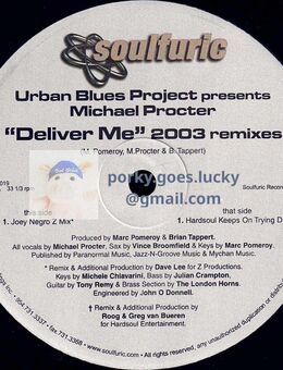 Urban Blues Project Presents Michael Procter - Deliver Me (2003 Remixes) 2x12" Vinyl House, Deep House, Garage House - München Bogenhausen