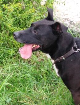 LOLKA - Langeweile ist nicht mein Ding - Overath