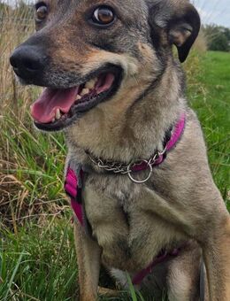 POESIE sucht das Glück - Weiterstadt