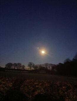 Möchte mich in diesem Jahr noch neu verlieben. - Delbrück