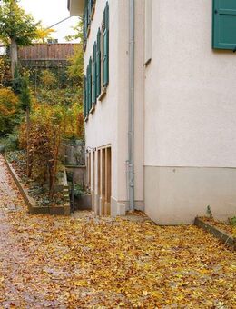 Stilvolle 3-Zimmer-Souterrainwohnung im Erstbezug im ehemaligen Lahmann-Sanatorium. - Dresden