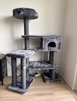 Kratzbaum von MORE für große Katzen - Köln