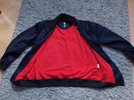 adidas trainingsjacke NBA chicago bulls Gr L - Dortmund