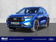 Ford Kuga, ST-LINE X 243PS Winter 20Zoll, Jahr 2024 - Aachen