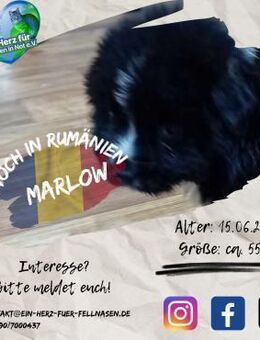 MARLOW-Spaß,Abenteuer, Liebe, Liebe... - Waakirchen