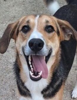 Zauberhafter, fröhlicher, lieber Simeon - Mettmann