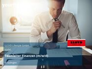 Teamleiter Finanzen (m/w/d) - Sulingen