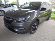 Opel Grandland X Business Elegance IntelliLux-Licht el. Heckklappe - Petting