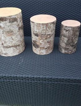 Birkenstämme im 3-er Set, aus Styropor - Stolberg (Rheinland, Kupferstadt)
