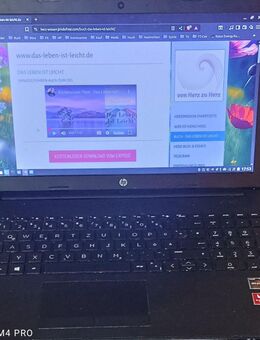 17″ HP-Laptop 256 GB SSD, 4 Kerne, 8 GB RAM, mit Linux – 250 VB – schnell & gepflegt - Ladenburg Zentrum