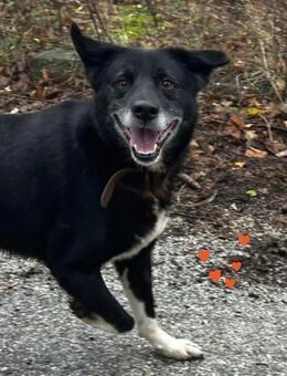 Liebe kennt keine Fellfarbe ♥️SAMMY♥️ - München