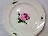 Original Meissen Porzellan Teller Ø 24cm Wildrose Rose - Mendig