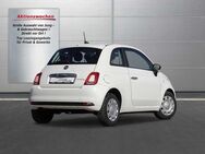 Fiat 500 1.0 Mild Hybrid Cult //Klimaanlage/DAB - Thannhausen