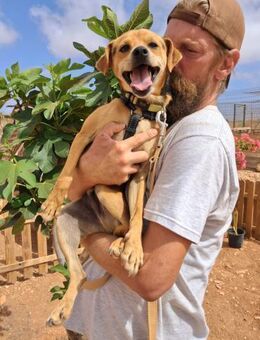 Leo sucht seine Familie - Moormerland