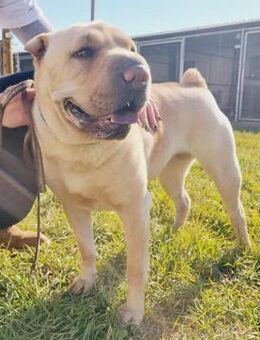 Michelle - verdient ein tolles Leben! - Köln