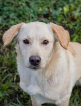 NINETTE - mittendrin und gern dabei - Overath