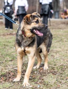 MIYA - sucht aktive Familie - Mainhardt