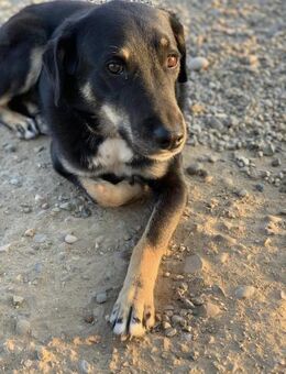 Emma möchte dich verzaubern - Celle