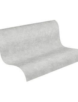 A.S. Création Vliestapete Terra Tapete Putzoptik, strukturiert, matt, (1 St), Struktur-Tapete Einfarbig