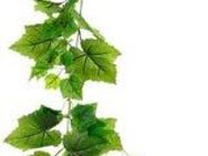 Kunstranke Weinblatt, I.GE.A., Höhe 180 cm, Künstliche Weinranke, Wanddekoration