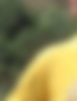 Joh*** - Kölln-Reisiek