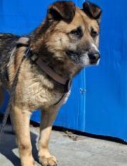 Halvar sucht einen sicheren Ort - München