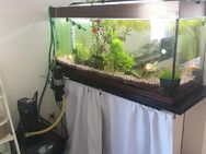 Aquarium Juwel 120x41x54 - Bilkheim