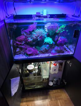 Meerwasseraquarium komplett - Trossingen