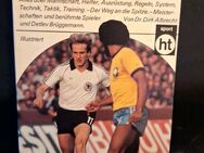 Fussball - mein Freizeitsport von Dirk Albrecht (Taschenbuch) - Essen