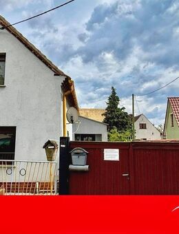 Landleben mit Raum zur Entfaltung - Bad Düben