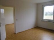 kleine Wohnung in ruhiger Lage - Friedrichswerth