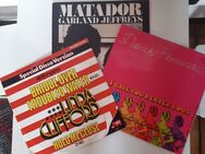 3 Maxi Singles Vinyl 12" BORN TO BEA LIVE, MATADOR & BRIDGE TROUBLE WATER - Düren