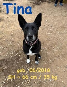 Tina - Zaubermaus - Rinteln