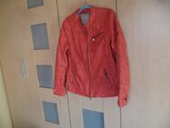 Lederjacke Cecil Gr 42 Reines Leder - Neunkirchen Zentrum